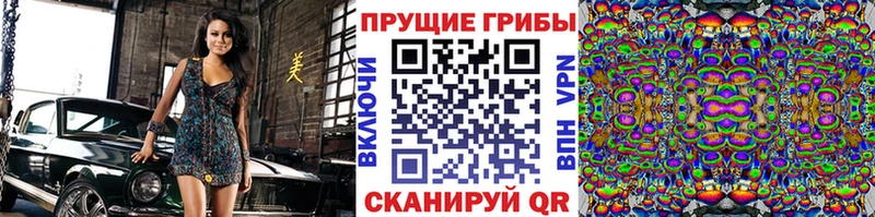 Галлюциногенные грибы Psilocybine cubensis Абдулино